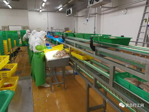 太平恩利食品加工厂 年薪上万、食宿全包的高福利诚聘