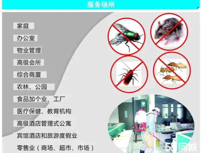 酒店业“虫”中之重 构建高效病虫害防治管理体系